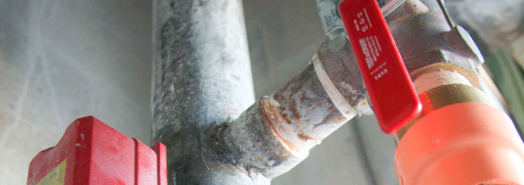 Executive Team Wayne Automatic Fire Sprinklers, Inc.